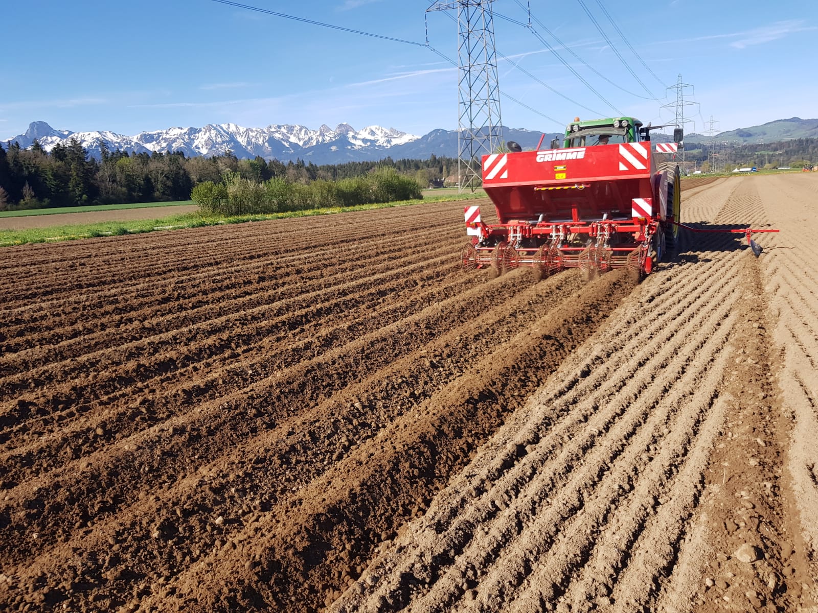 Grimme GL 420 Dammformer