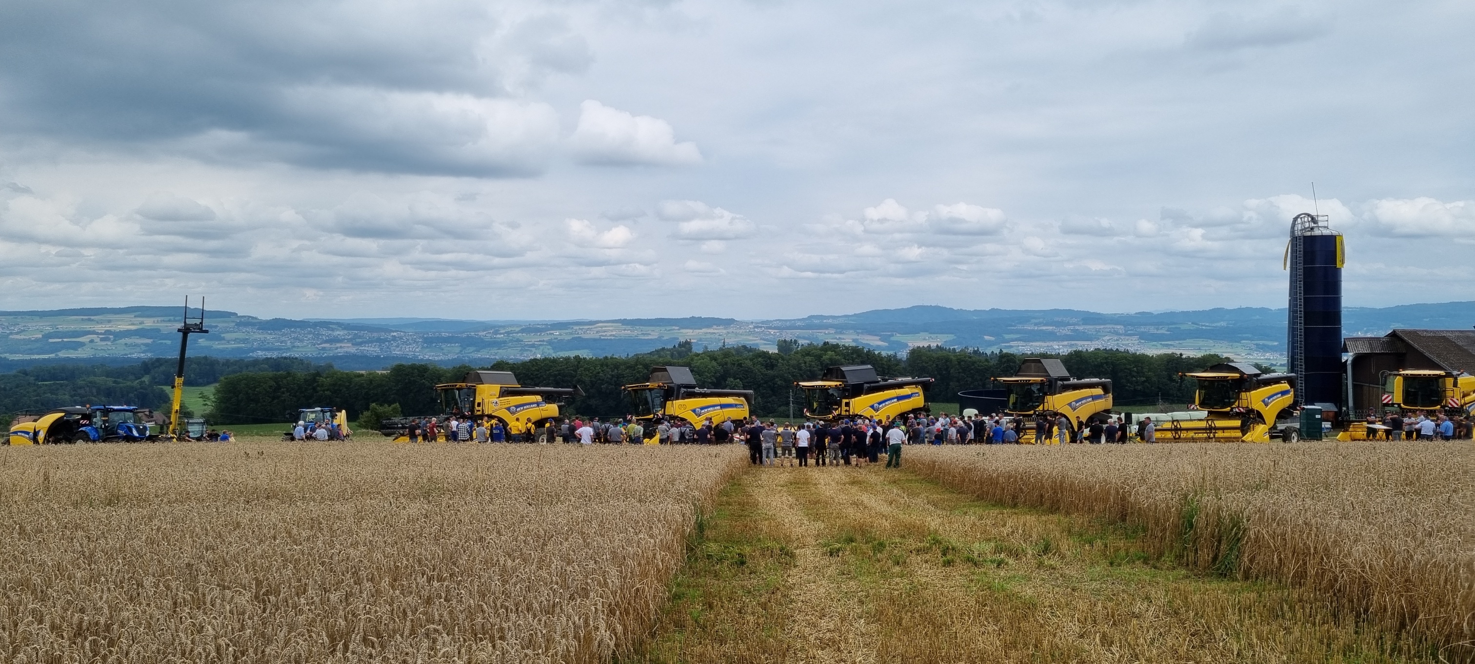 Feldtag Newholland studer